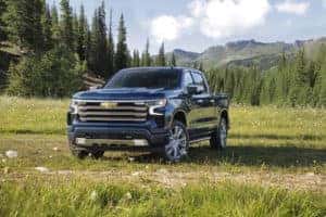 blue chevrolet pick up truck