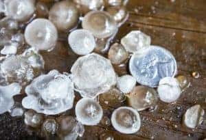 hail damage