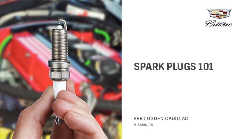 Spark Plug Service & Replacement