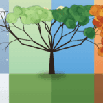Bulldog Kia Four Seasons