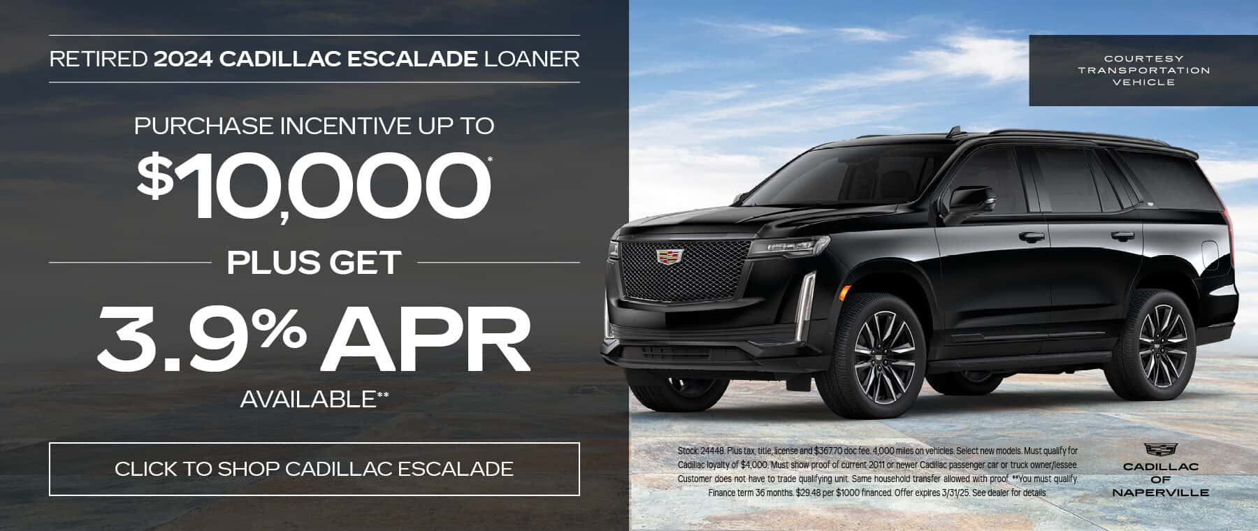 FLAG25_259-Cadillac-March-Banners_1800x7604