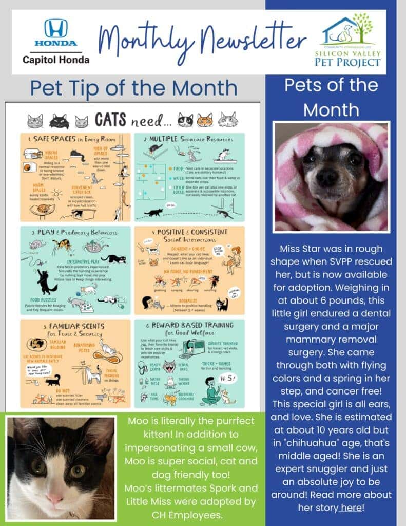 sept pet newsletter 