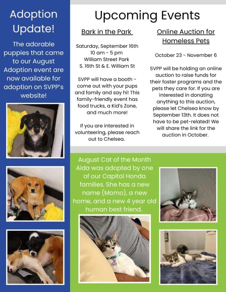 sept pet newsletter page 2