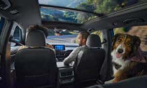 2024 VW Atlas Interior