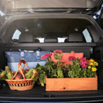 2024 Volkswagen Tiguan Cargo Area