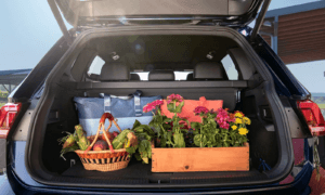 2024 Volkswagen Tiguan Cargo Area
