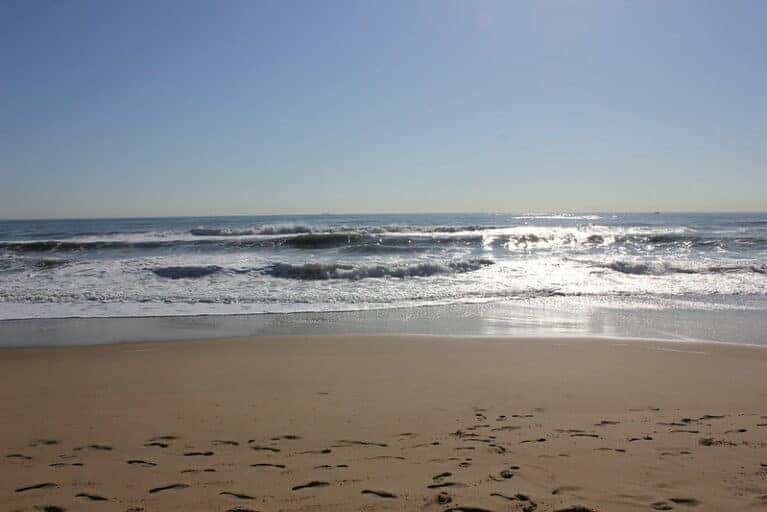 things to do in virginia beach area things to do in virginia beach area