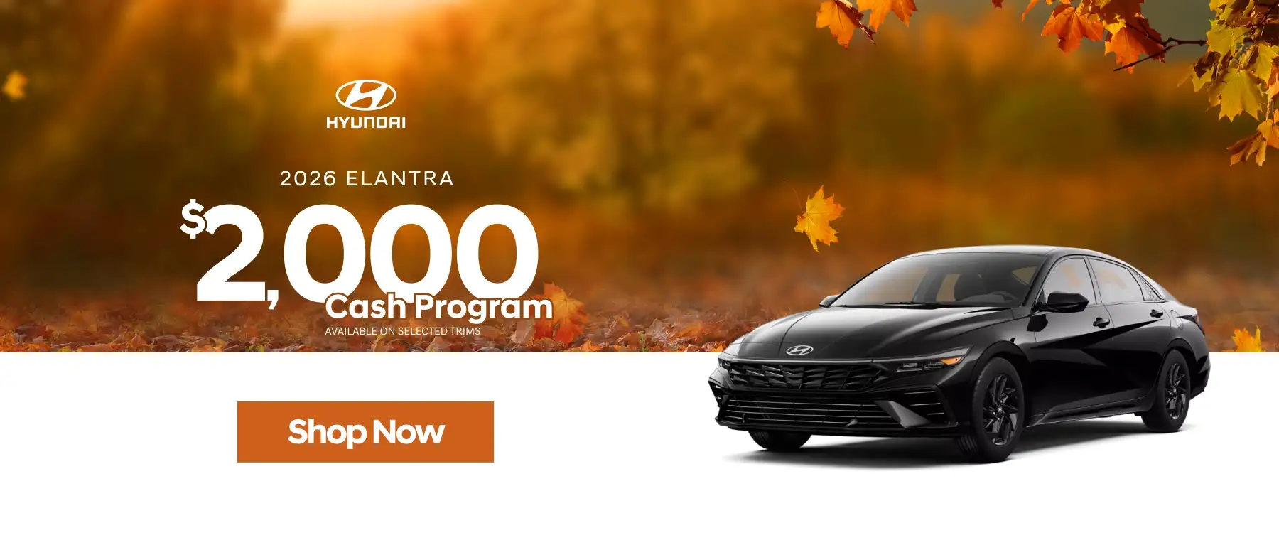 2026 Hyundai Elantra promotional banner featuring a black sedan against an autumn backdrop with a $2,000 cash program available on select trims and a “Shop Now” button.