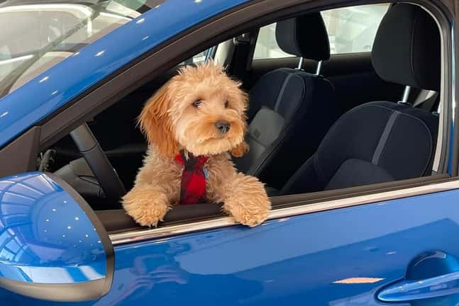 Empire Lakewood Nissan