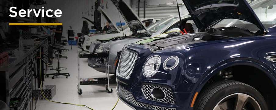 A row of luxury vehicles with their hoods open in a service bay