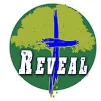reveal