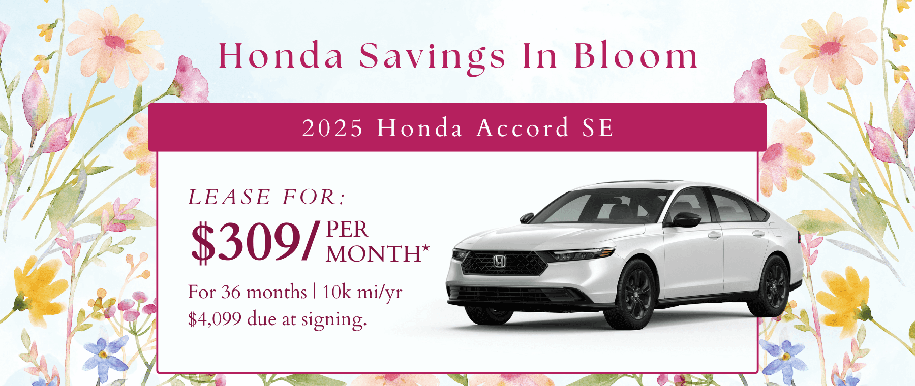 HOT—Accord-SE