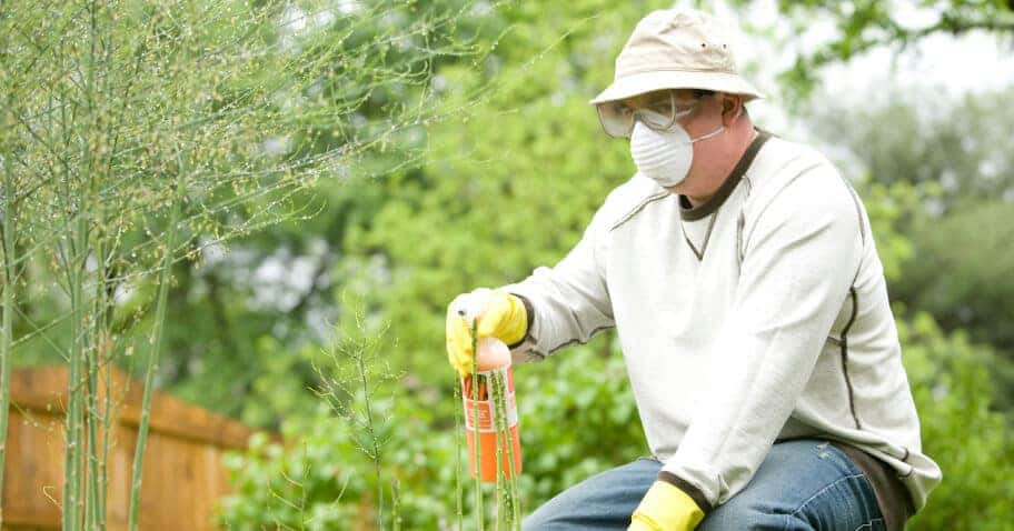 Pest Control