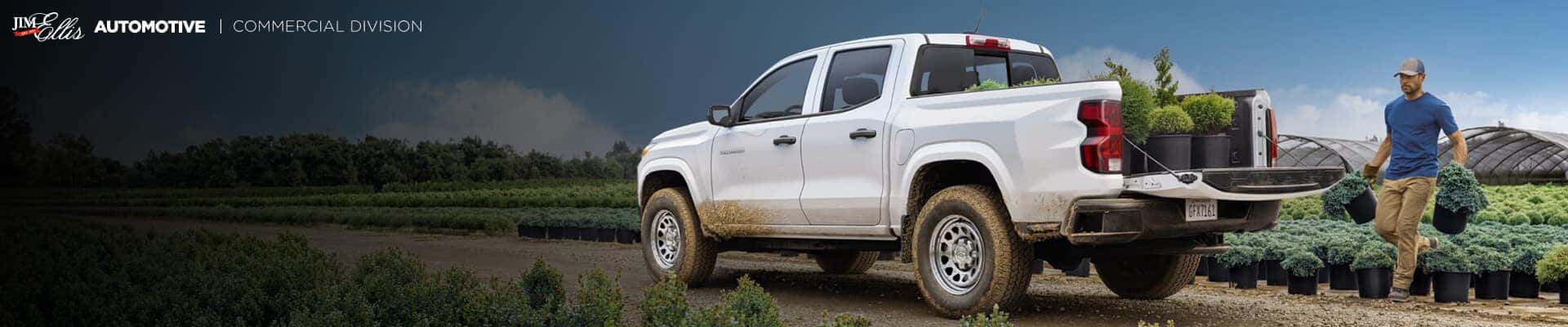 Chevrolet Colorado WT hauling potted shrubs in a commercial plant nursery.