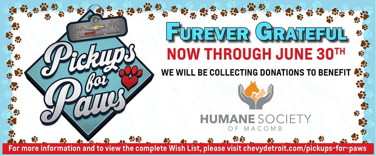 1200×525 Pickups for Paws CT June 2021