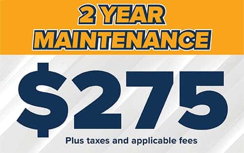 Two year maintenance