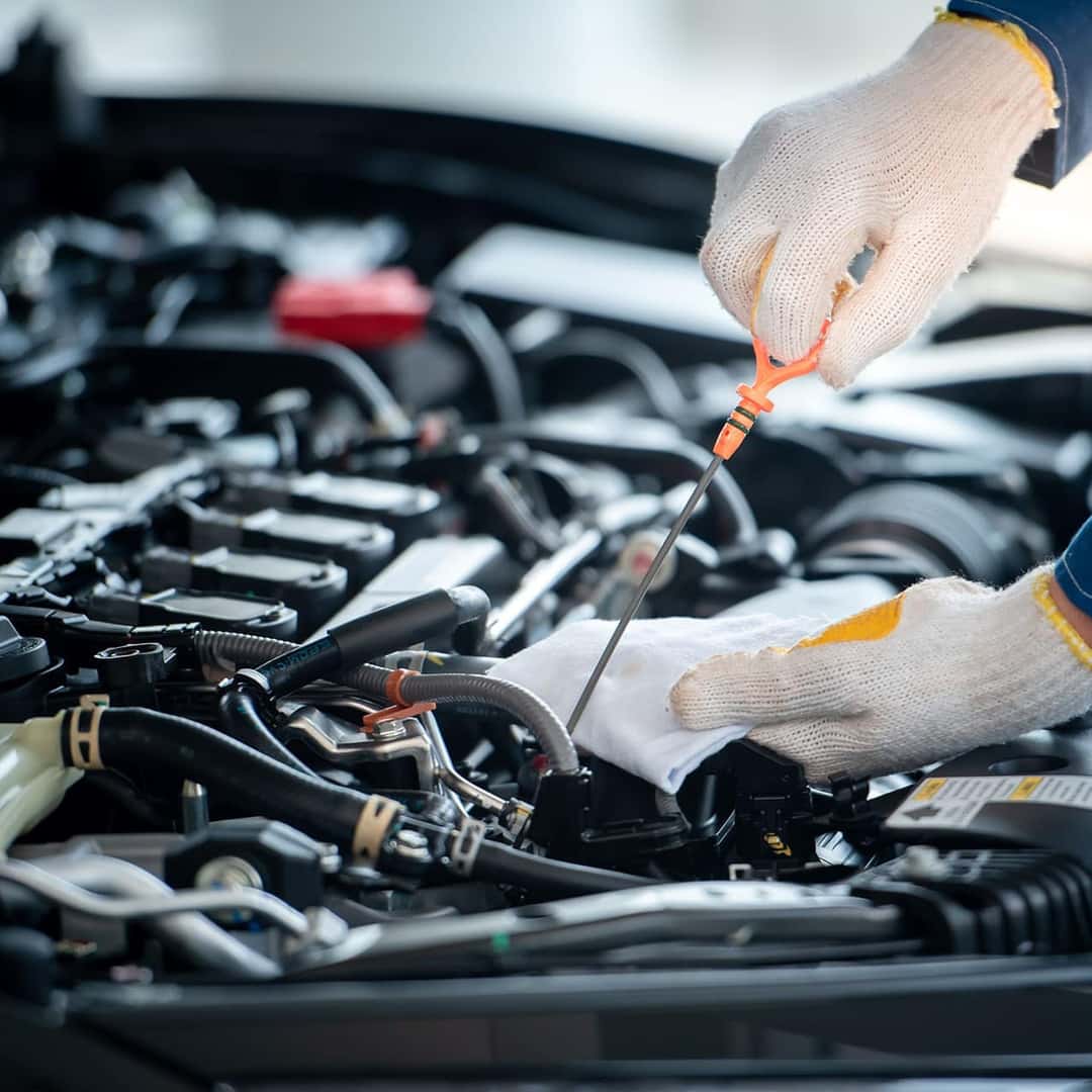 Quirk Kia of Marshfield Oil Change Service