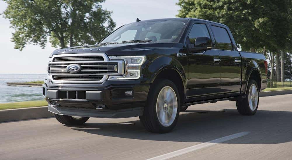 A black 2019 Ford F-150 Limited is shown driving near a lake.