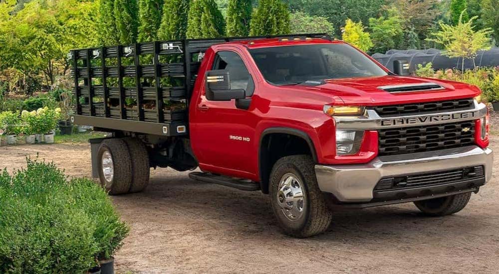 A red 2023 Chevy Silverado 3500HD is shown parked near many plants after viewing used trucks for sale near Sandy.