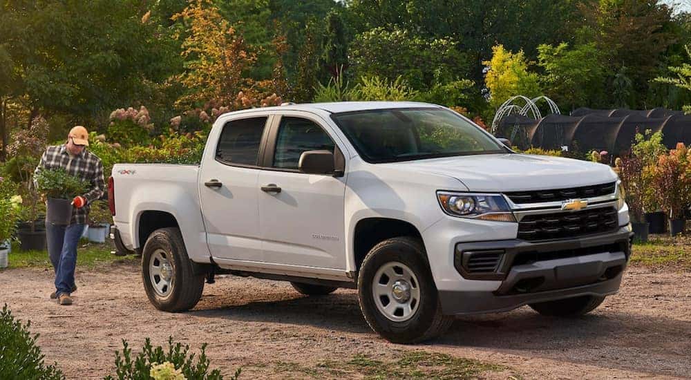 A white 2021 Chevy Colorado is shown parked near many potted plants.