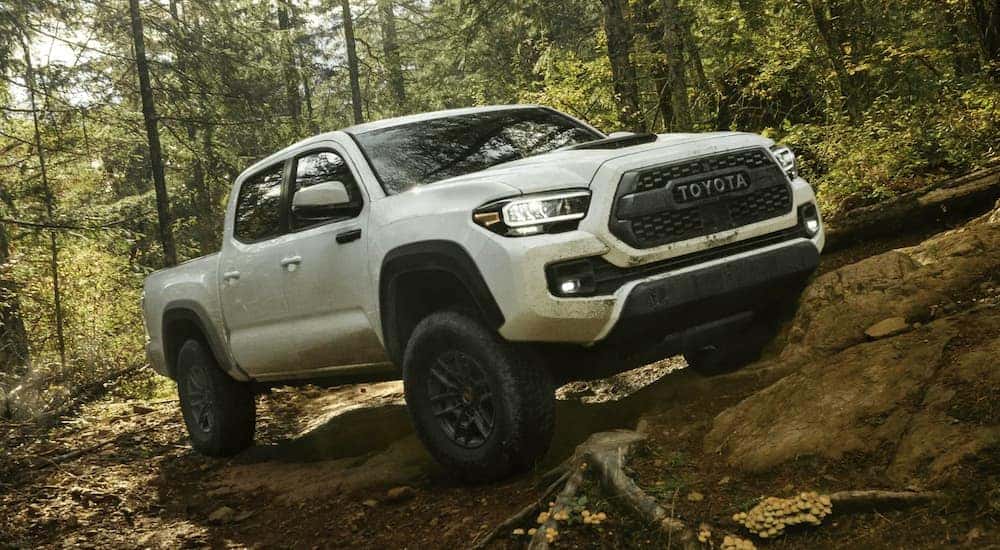 A white 2020 Toyota Tacoma is shown driving off-road.