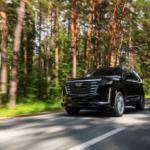 Black Cadillac Escalade SUV driving on a forest road with tall pines