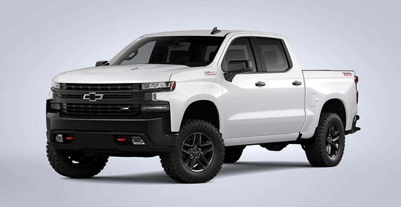 LT Trail Boss