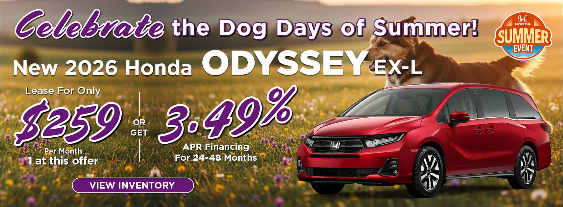 Dog Days Of Summer Odyssey offer