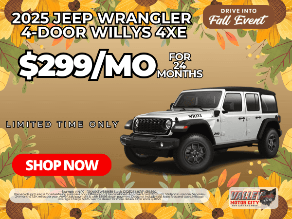 Wrangler Valley City Formatori EU 46 Wrangler Valley City Formatori EU 46