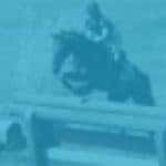 Second Chance Thoroughbreds