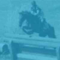 Second Chance Thoroughbreds