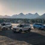Kia Sorento Trims