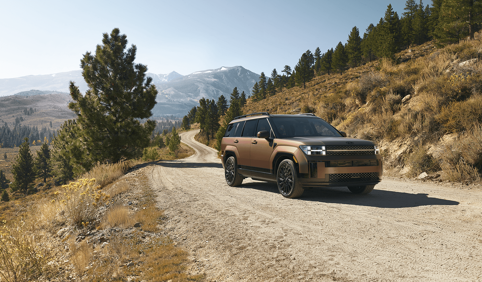 2025 Hyundai Santa Fe exterior 3-row SUV brown