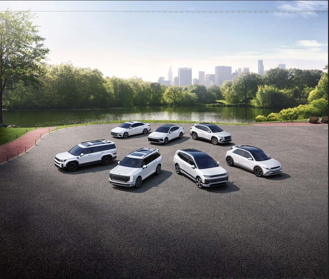 Hyundai_Trims_